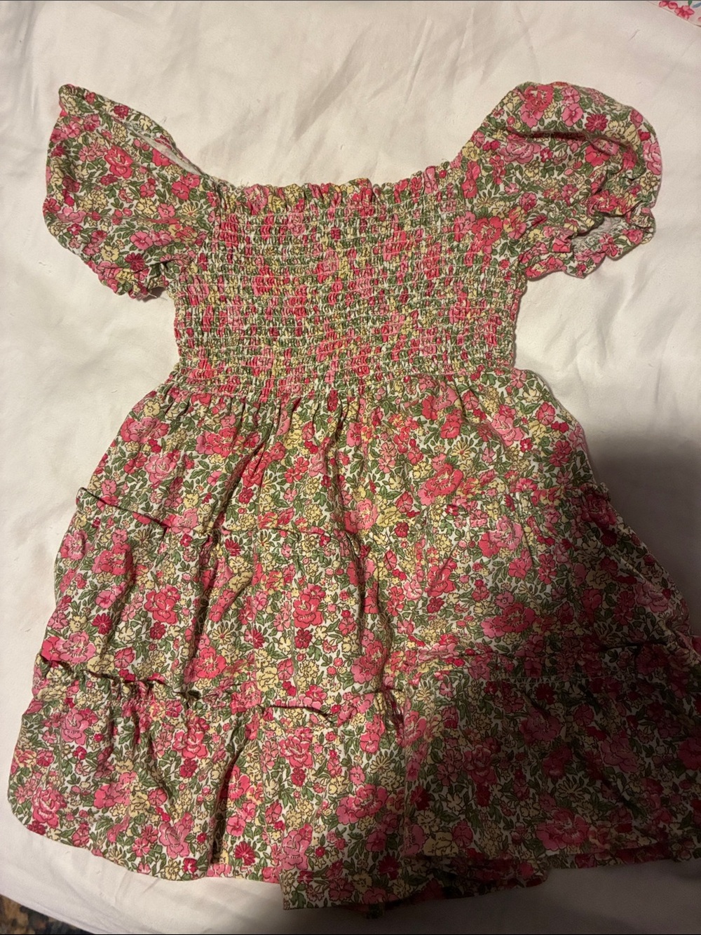 Polo by Ralph Lauren Pink and Green Floral Smocked Kids Dress